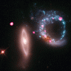 Arp147-collision