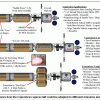 COPERNICUS diagramme des missions