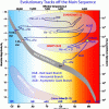 Evolutionary-track-main-sequence
