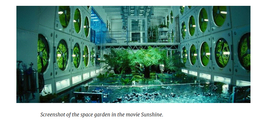 Sunshine-space-garden
