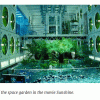 Sunshine-space-garden